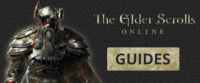 ESO Tank Builds, Elder Scrolls Online, ESO Trial Guides, Block Bug, ESO Dungeon Guides