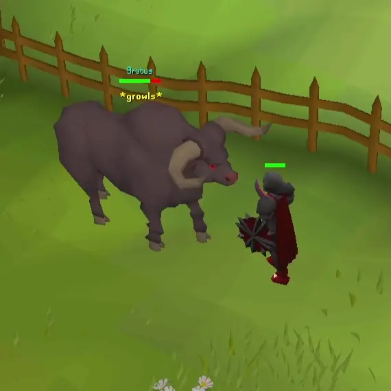 OSRS Cow Boss Brutus *Growls* Special Attack