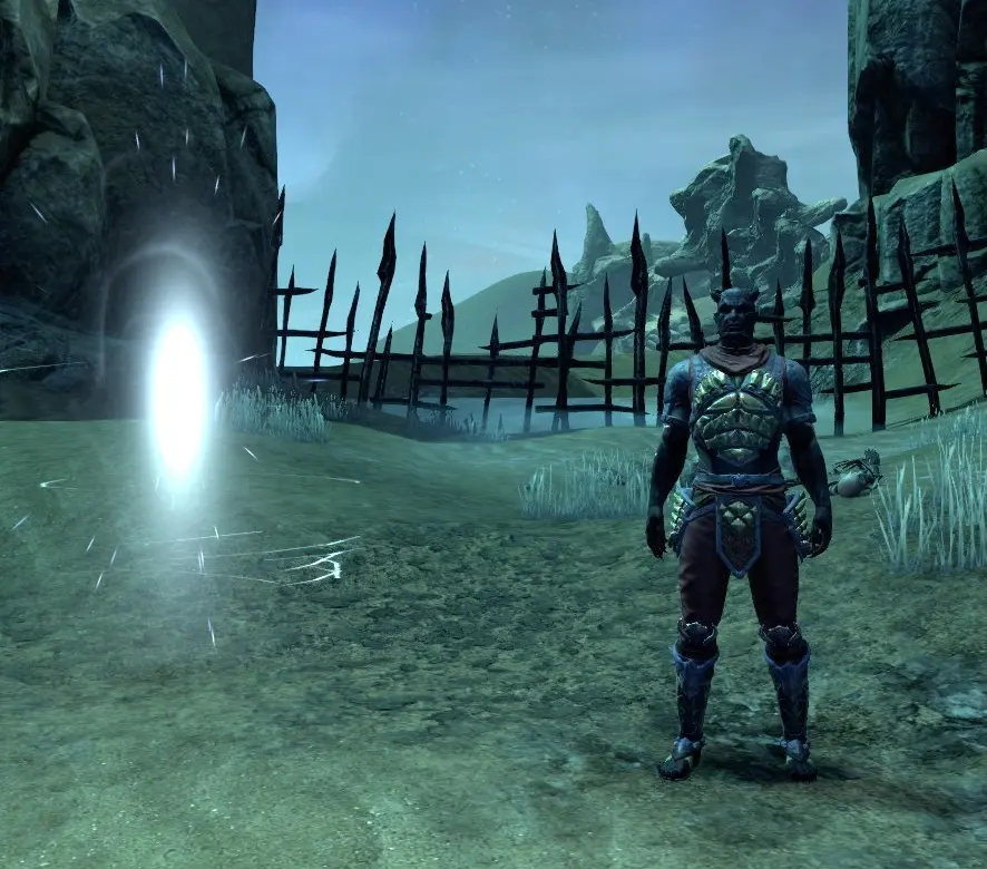 ESO Night Market Curator